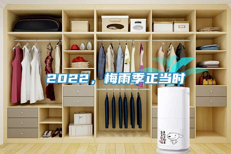 2022,梅雨季正當(dāng)時(shí)