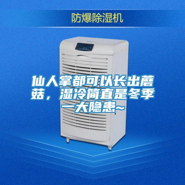 仙人掌都可以長出蘑菇，濕冷簡直是冬季一大隱患~