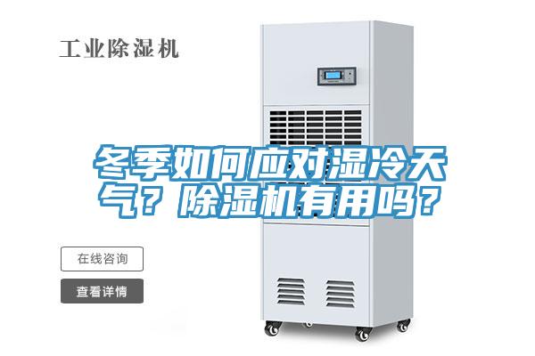 冬季如何應對濕冷天氣?除濕機有用嗎?