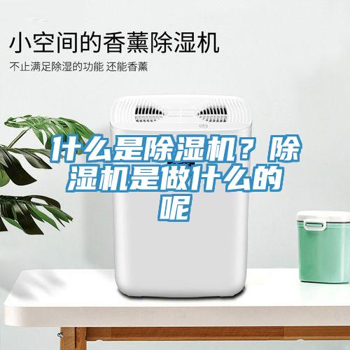 什么是除濕機？除濕機是做什么的呢
