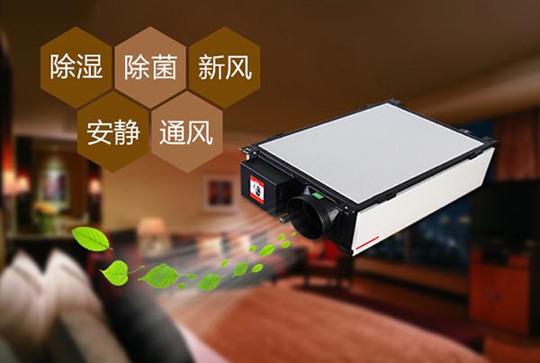 雙十一剛過，雙十二如約而至，濕冷還受得了嗎？