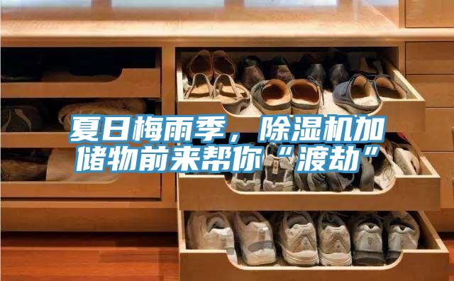 夏日梅雨季，除濕機加儲物前來幫你“渡劫”