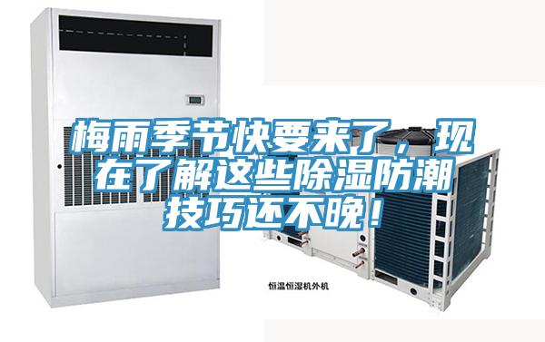 梅雨季節(jié)快要來了，現(xiàn)在了解這些除濕防潮技巧還不晚！