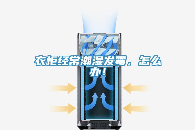 衣柜經常潮濕發霉,怎么辦!