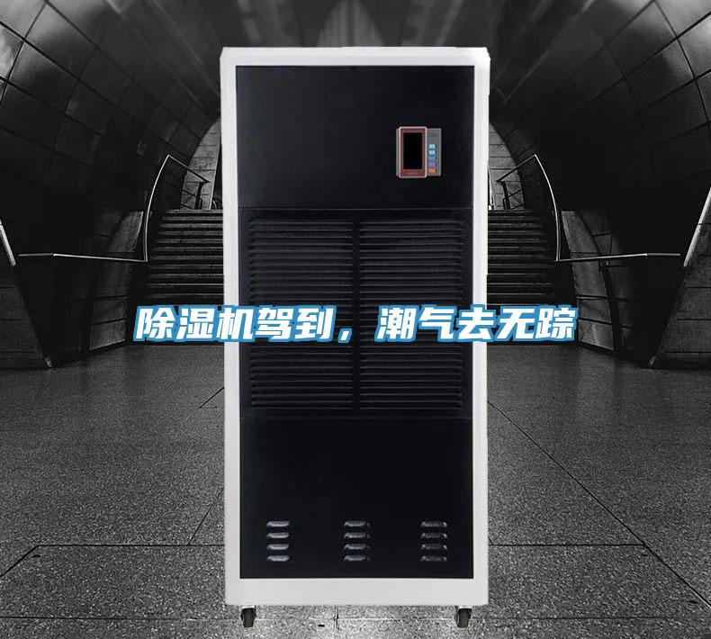 除濕機駕到,潮氣去無蹤