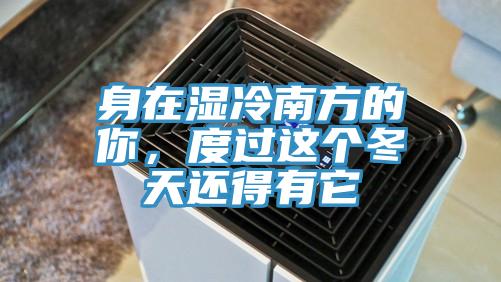 身在濕冷南方的你，度過這個(gè)冬天還得有它