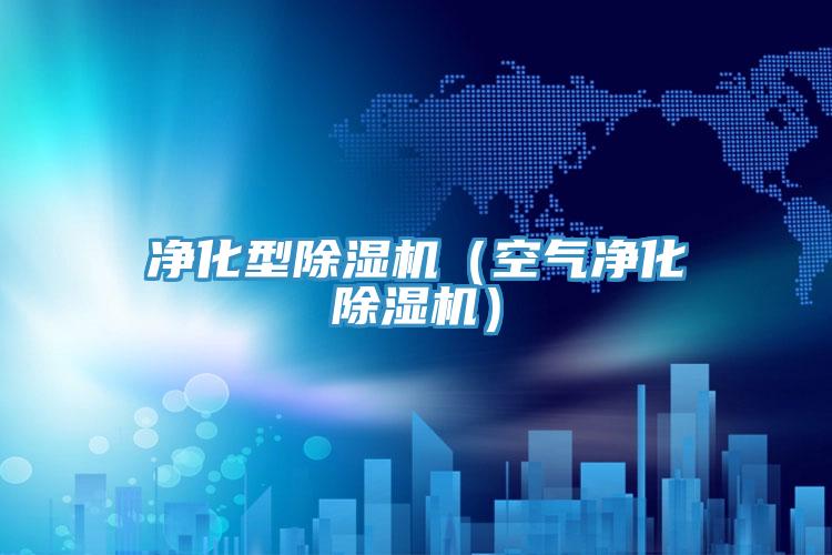 凈化型除濕機(空氣凈化除濕機)