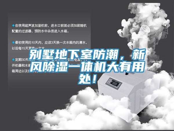 別墅地下室防潮,新風除濕一體機大有用處!