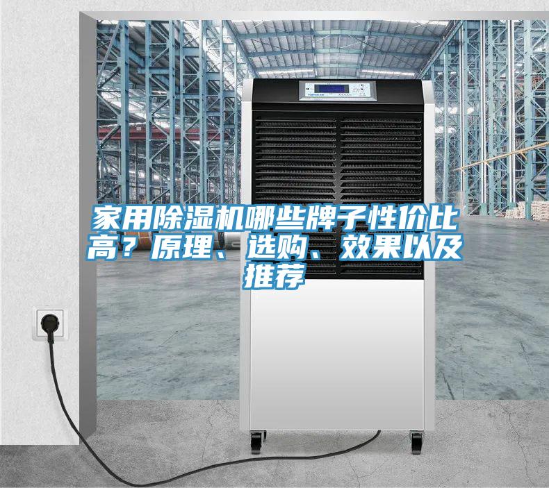 家用除濕機(jī)哪些牌子性?xún)r(jià)比高？原理、選購(gòu)、效果以及推薦