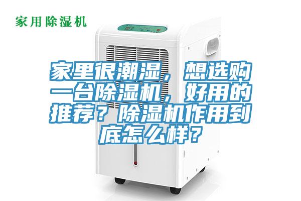 家里很潮濕,想選購一臺除濕機,好用的推薦?除濕機作用到底怎么樣?