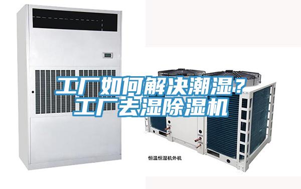 工廠如何解決潮濕？工廠去濕除濕機