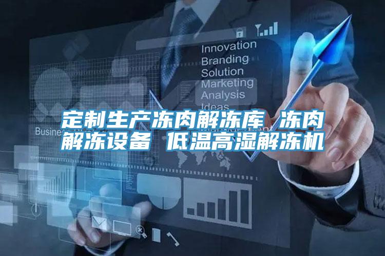 定制生產(chǎn)凍肉解凍庫 凍肉解凍設(shè)備 低溫高濕解凍機