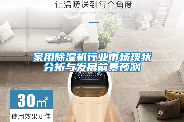 家用除濕機行業市場現狀分析與發展前景預測