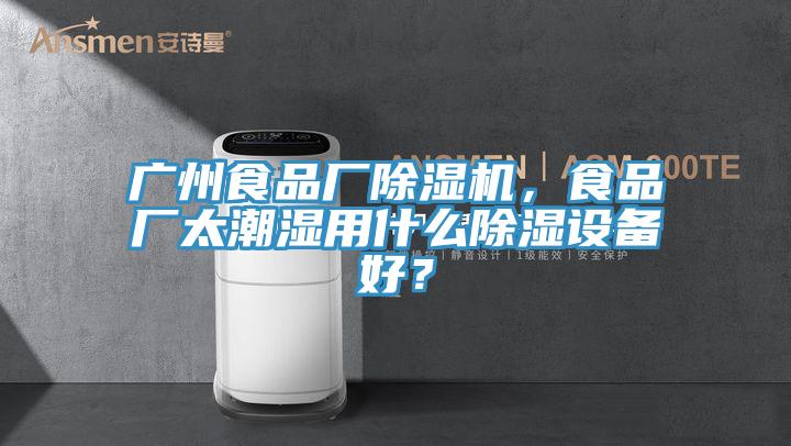 廣州食品廠除濕機，食品廠太潮濕用什么除濕設備好？
