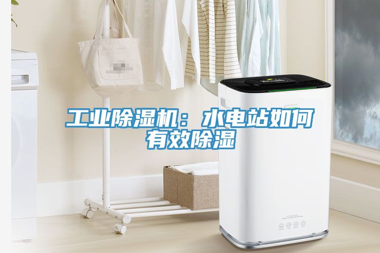 工業(yè)除濕機:水電站如何有效除濕
