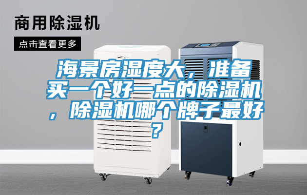 海景房濕度大，準備買一個好一點的除濕機，除濕機哪個牌子最好？