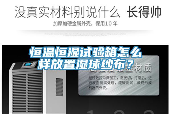 恒溫恒濕試驗箱怎么樣放置濕球紗布?