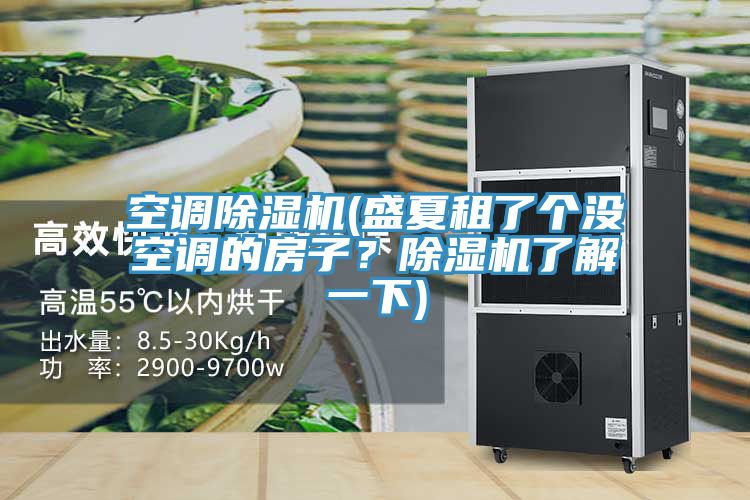 空調除濕機(盛夏租了個沒空調的房子?除濕機了解一下)