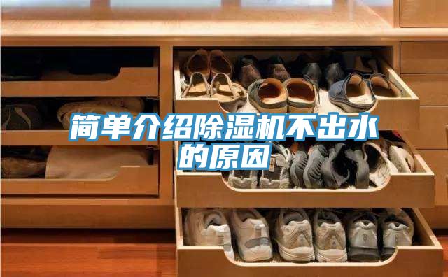 簡單介紹除濕機(jī)不出水的原因