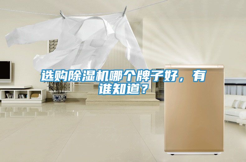 選購除濕機哪個牌子好,有誰知道?