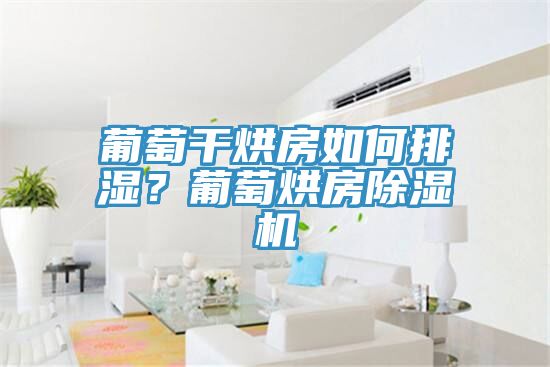 葡萄干烘房如何排濕?葡萄烘房除濕機