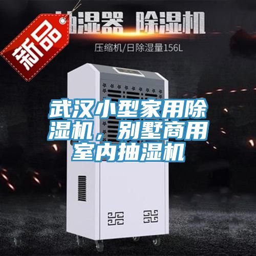 武漢小型家用除濕機，別墅商用室內抽濕機