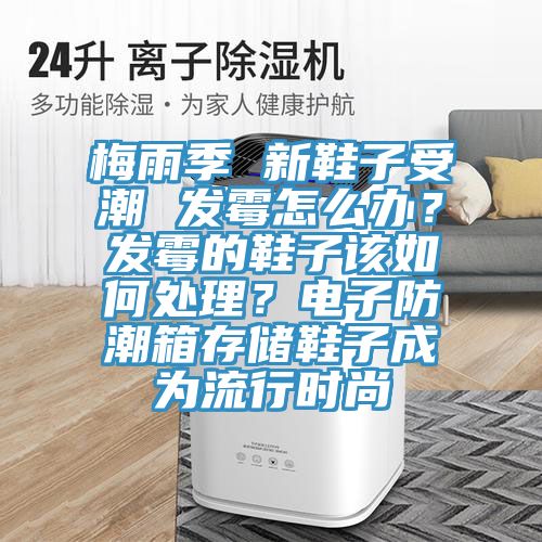 梅雨季 新鞋子受潮 發(fā)霉怎么辦？發(fā)霉的鞋子該如何處理？電子防潮箱存儲鞋子成為流行時尚