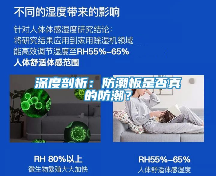 深度剖析：防潮板是否真的防潮？