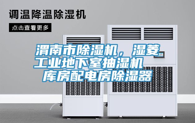 渭南市除濕機,濕菱工業(yè)地下室抽濕機 庫房配電房除濕器