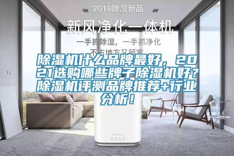 除濕機什么品牌最好，2021選購哪些牌子除濕機好？除濕機評測品牌推薦+行業分析！