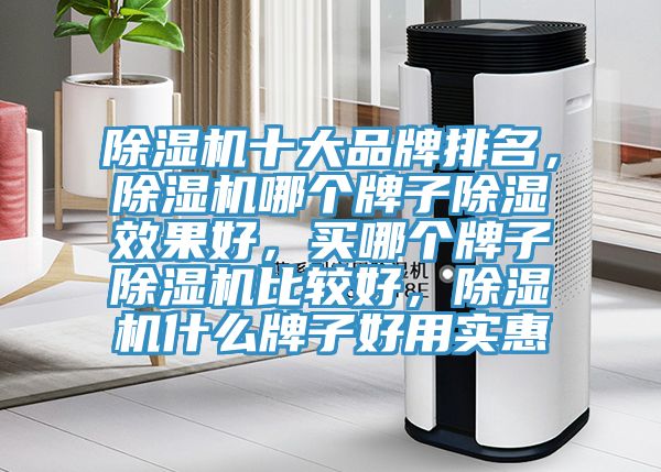 除濕機十大品牌排名，除濕機哪個牌子除濕效果好，買哪個牌子除濕機比較好，除濕機什么牌子好用實惠