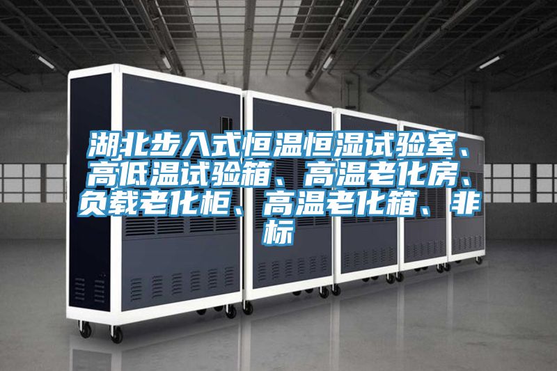 湖北步入式恒溫恒濕試驗室、高低溫試驗箱、高溫老化房、負載老化柜、高溫老化箱、非標