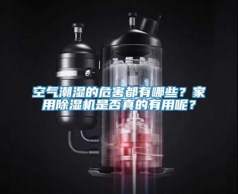 空氣潮濕的危害都有哪些?家用除濕機是否真的有用呢?