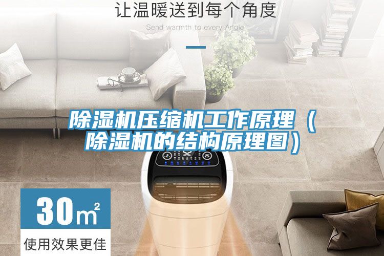除濕機(jī)壓縮機(jī)工作原理(除濕機(jī)的結(jié)構(gòu)原理圖)