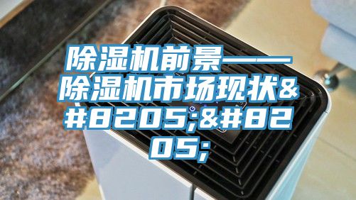 除濕機(jī)前景——除濕機(jī)市場(chǎng)現(xiàn)狀
