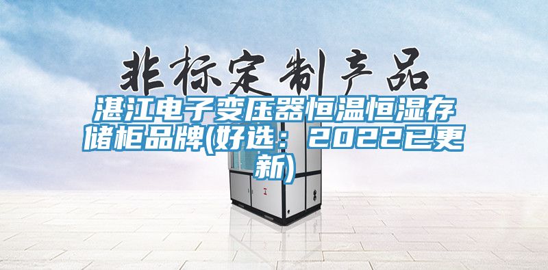湛江電子變壓器恒溫恒濕存儲(chǔ)柜品牌(好選：2022已更新)