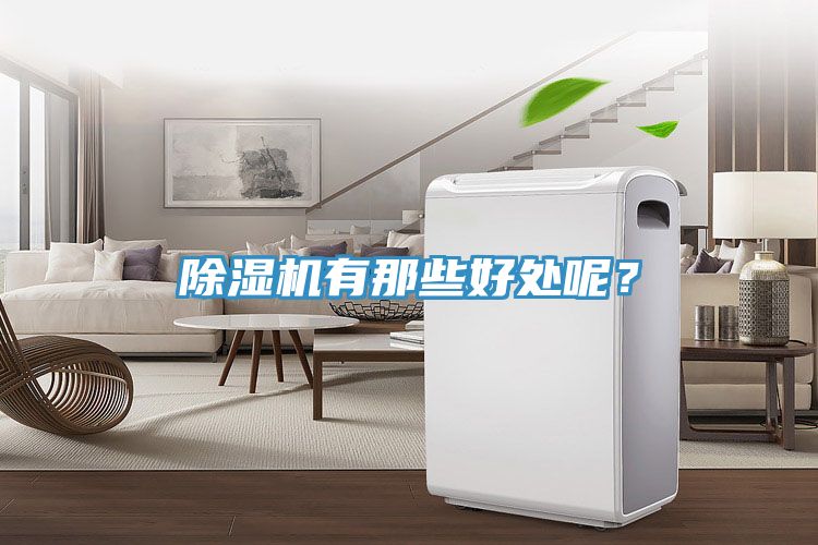 除濕機有那些好處呢?