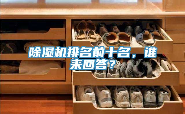 除濕機排名前十名，誰來回答？