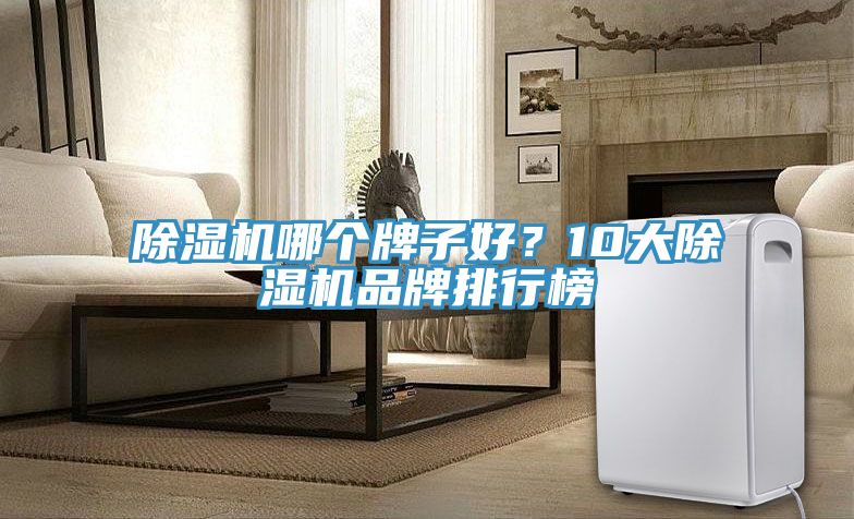 除濕機(jī)哪個(gè)牌子好?10大除濕機(jī)品牌排行榜