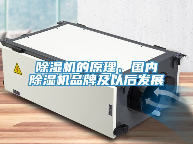 除濕機的原理、國內除濕機品牌及以后發展
