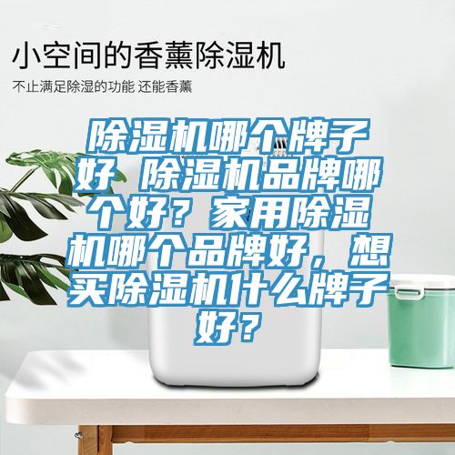 除濕機哪個牌子好 除濕機品牌哪個好？家用除濕機哪個品牌好，想買除濕機什么牌子好？