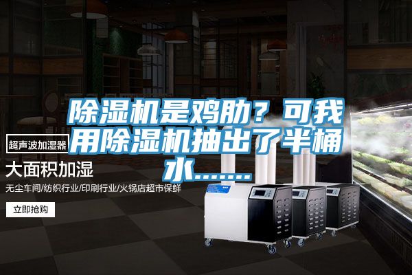 除濕機是雞肋？可我用除濕機抽出了半桶水.......