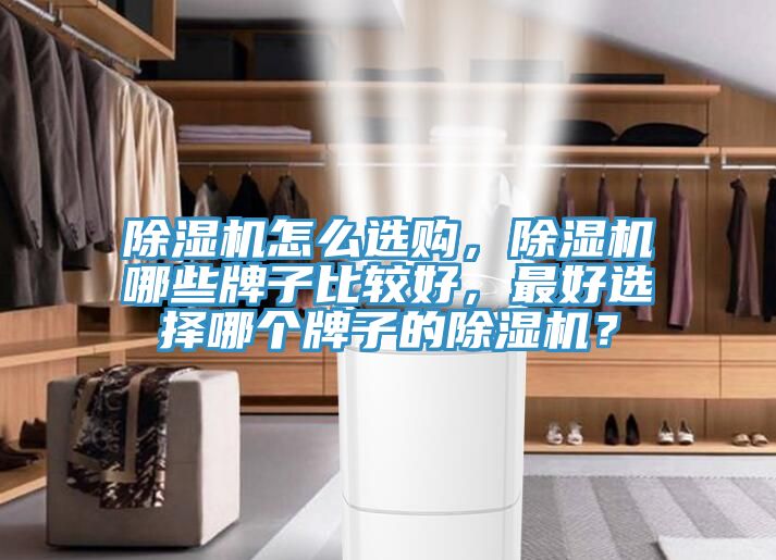 除濕機怎么選購，除濕機哪些牌子比較好，最好選擇哪個牌子的除濕機？