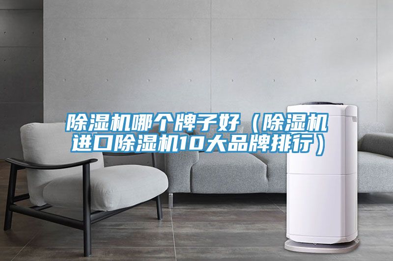 除濕機哪個牌子好(除濕機進口除濕機10大品牌排行)